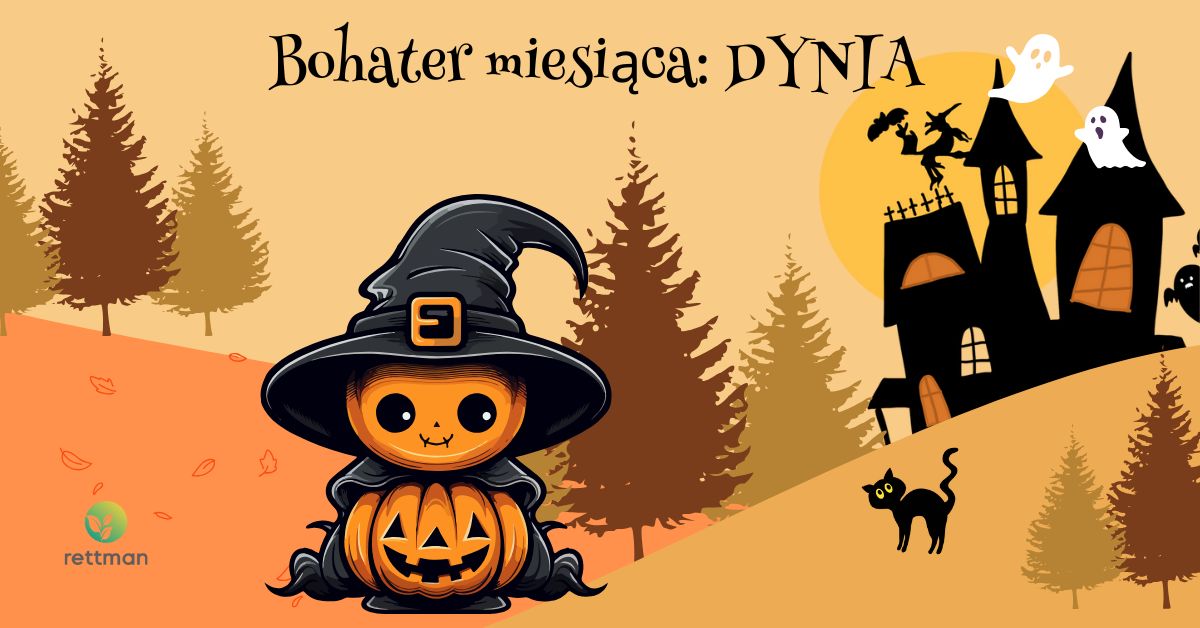 20251006 SP 15 we Wrocławiu, obrazek do wpisu bohater miesiąca Dynia