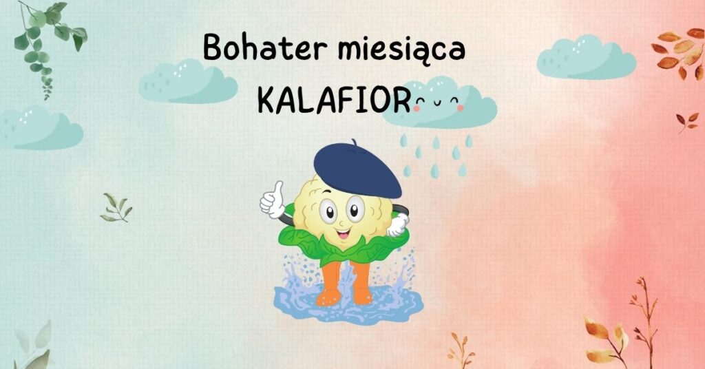 20251104 SP 15 we Wrocławiu, obrazek do wpisu bohater miesiąca listopada kalafior