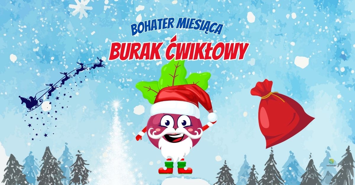 202511204 SP 15 we Wrocławiu, obrazek do wpisu bohater miesiąca grudnia burak ćwikłowy